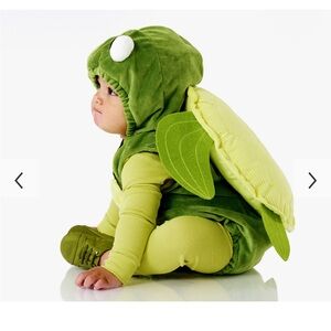 Pottery Barn Baby Green Turtle Costume